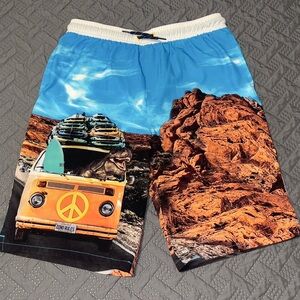 BOYS DINOSAUR ROAD TRIP SWIMMING TRUNKS SWIM SUIT